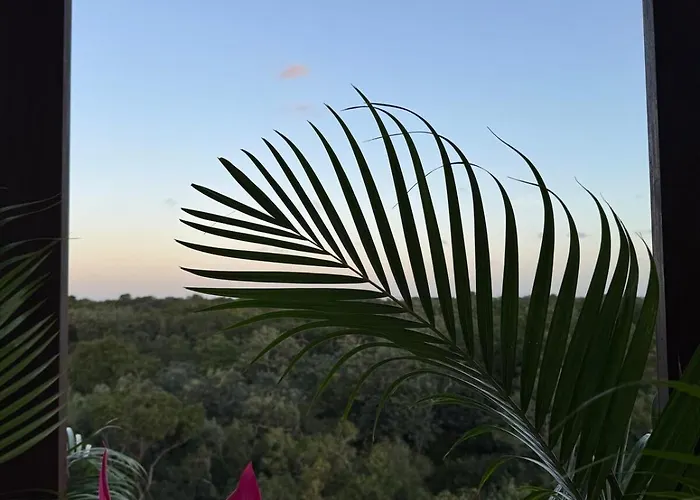 Apartment Alof In The Jungle Tulum